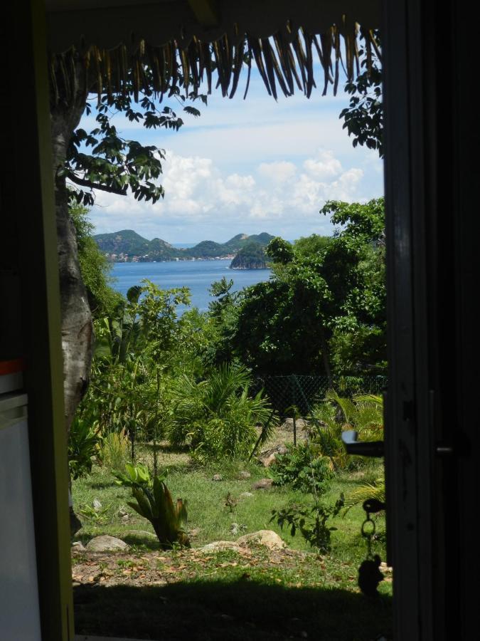 Residence Coco D'Iles, Gite Ti Bambou Terre-de-Bas Eksteriør billede