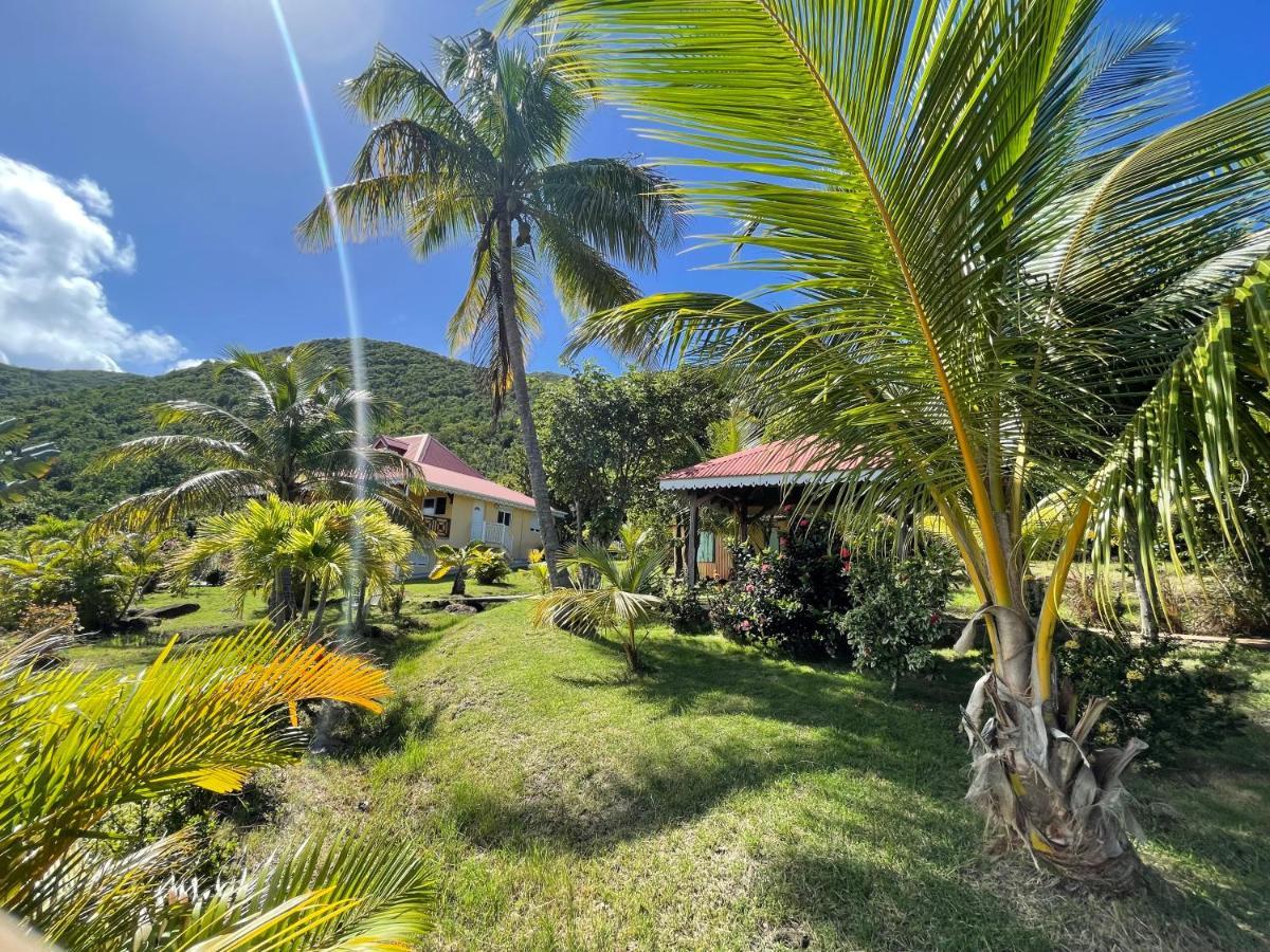 Residence Coco D'Iles, Gite Ti Bambou Terre-de-Bas Eksteriør billede